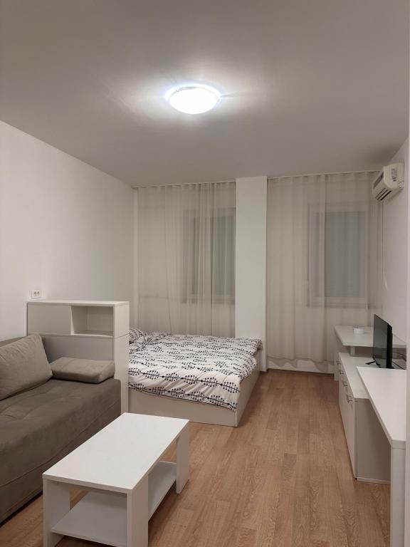Studio Apartment L - 2