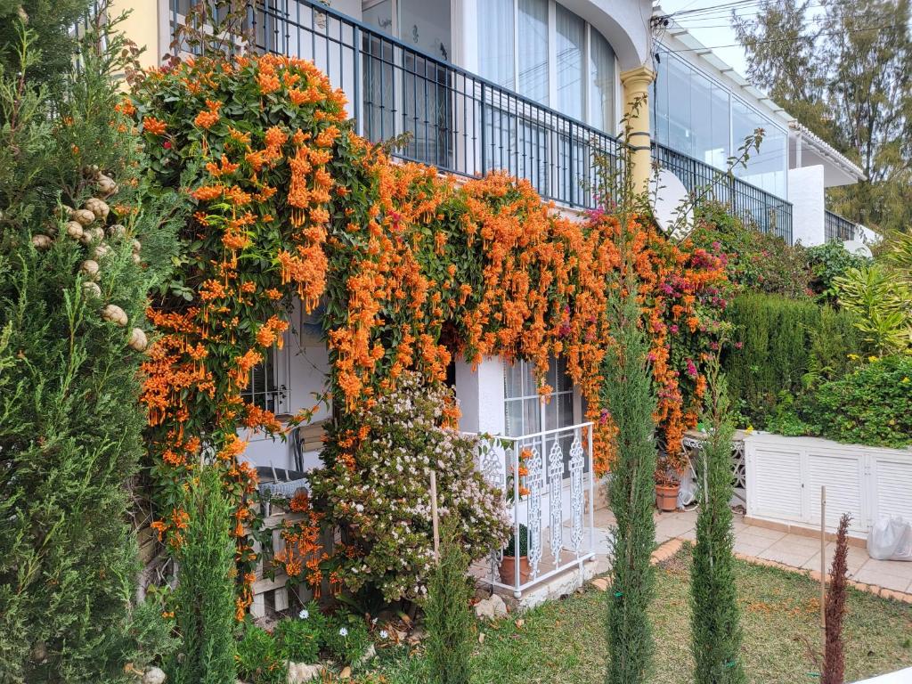 Torreblanca 2 bedrooms apart with small garden and pool - 2