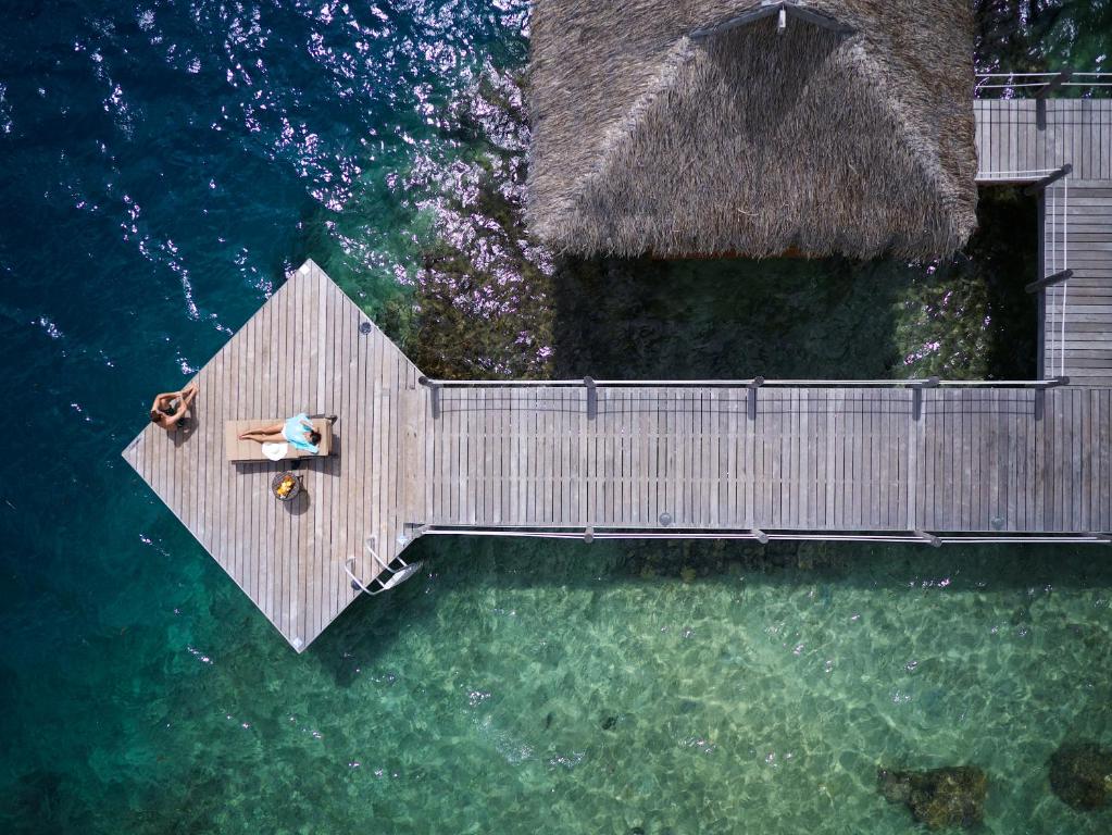 アクティビティ