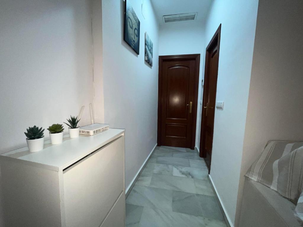 RgHOST-Apartamento La Palma en Casco Histórico - 3