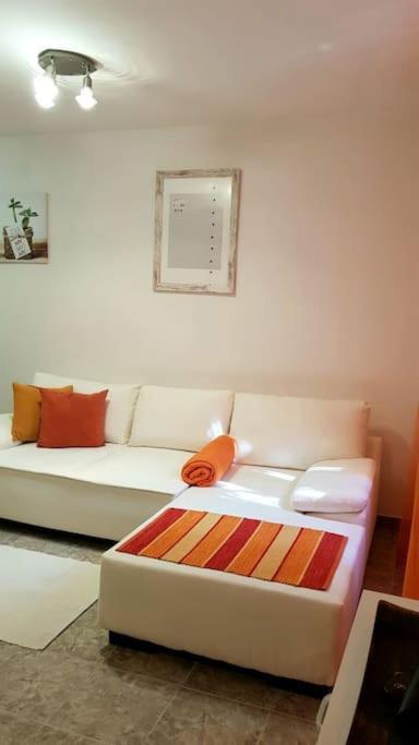 Apartment with a garden Petrovac - 2