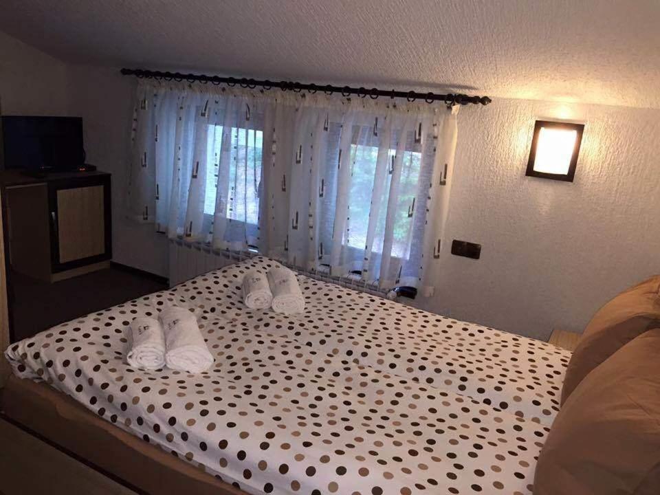 Family Hotel Ginger photo
