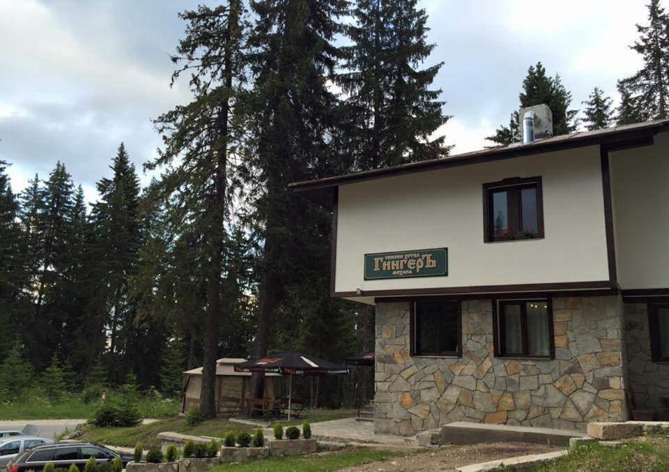 Family Hotel Ginger photo