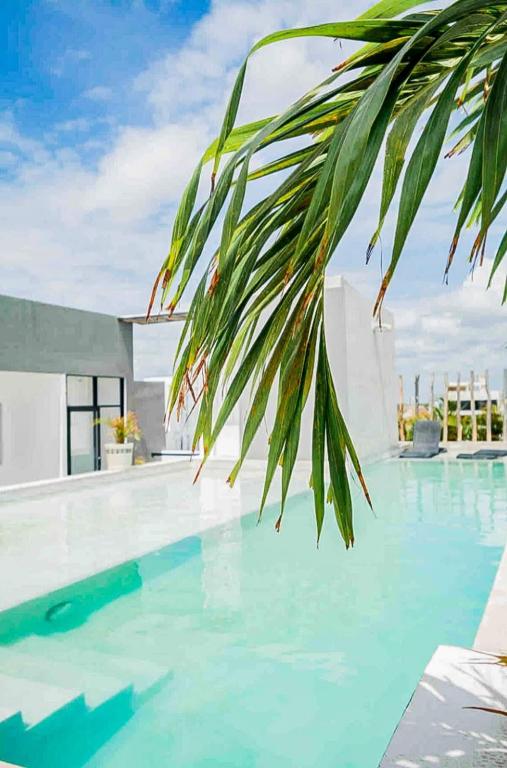 Joya de la Zazil 20 Av ROOFTOP POOL Walk to Playa Mamitas Coco Beach & 5 - 5