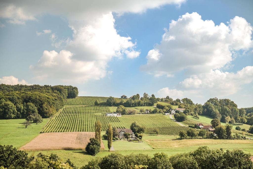 Kellerstöckl am Neusetzberg - 2