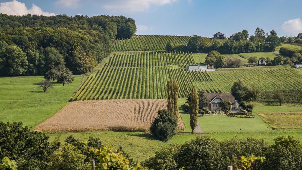 Kellerstöckl am Neusetzberg - 3