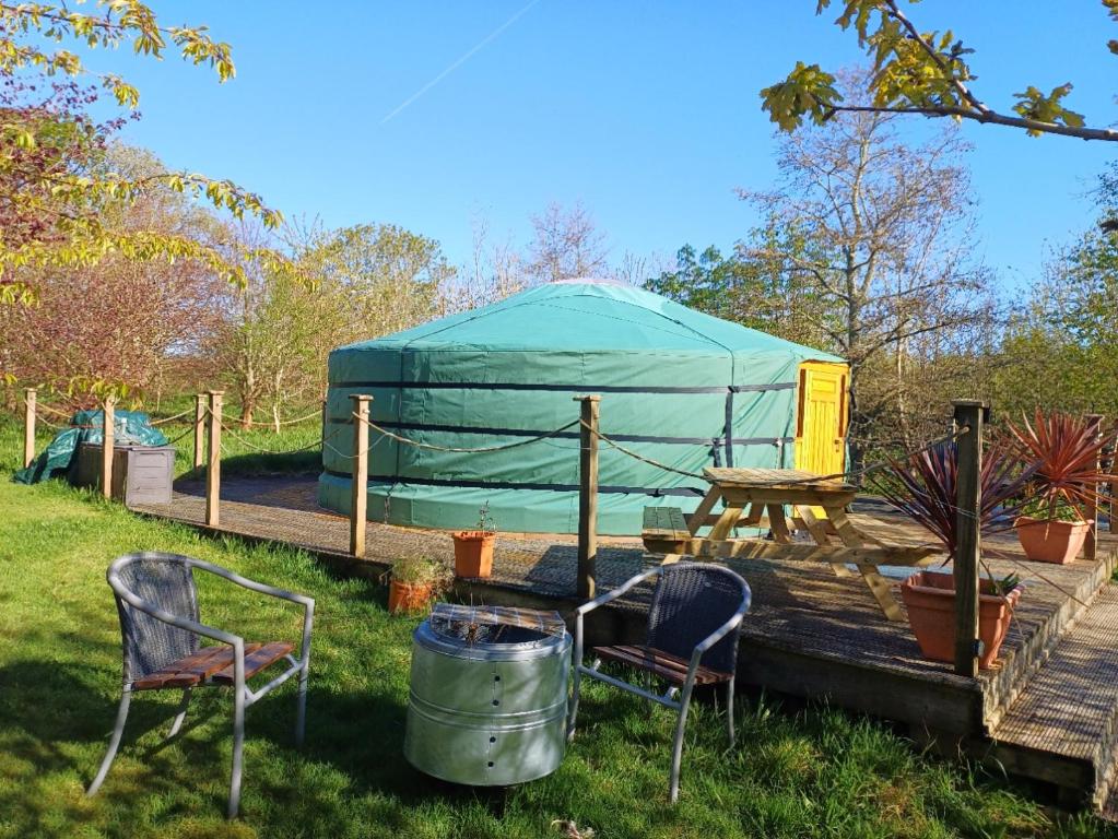 The Yurt in Cornish Woods, near Penzance photo 5