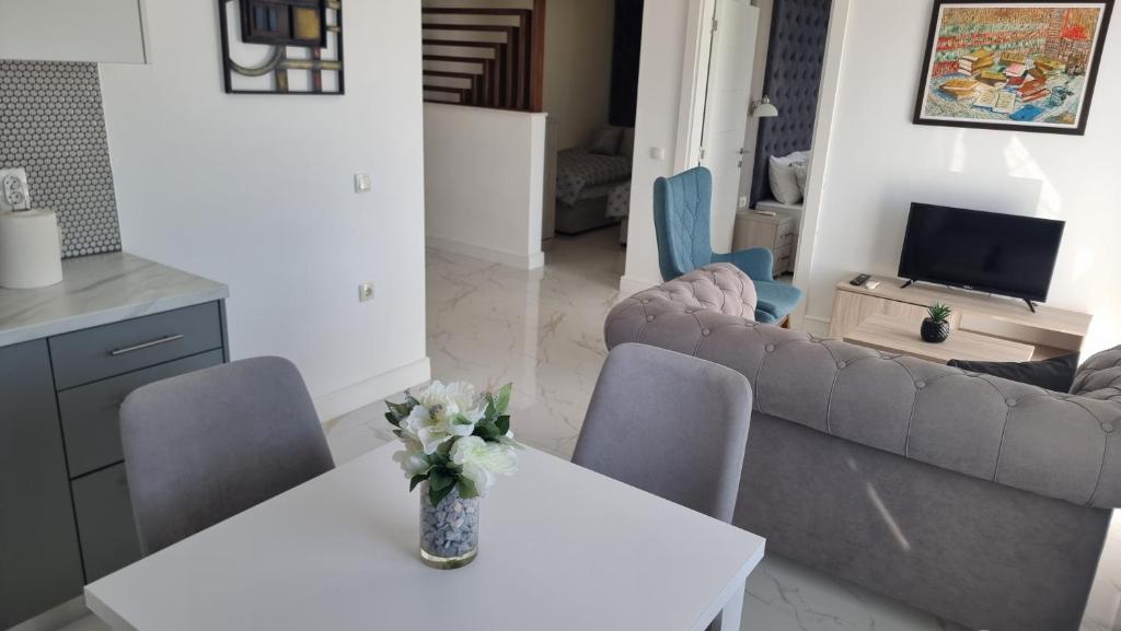 共用ラウンジ/TVエリア