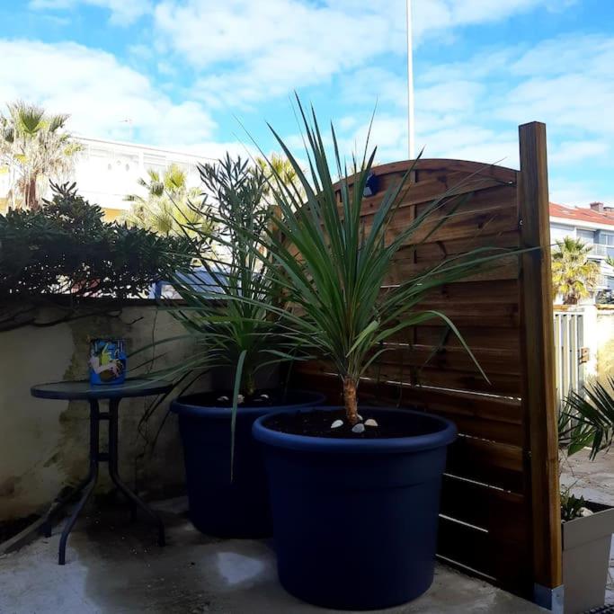 Appartement 2 chambres, avec terrasse/parking - 5