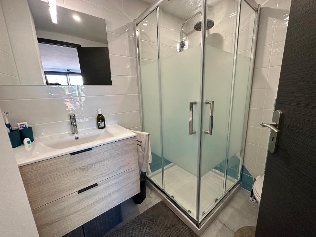 Appartement T2 - 5