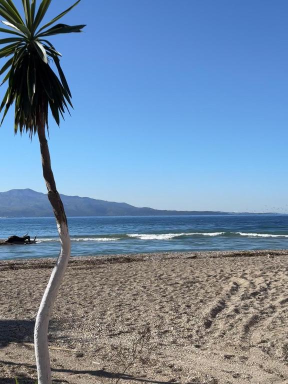 Oranges Apartament, Sarandë