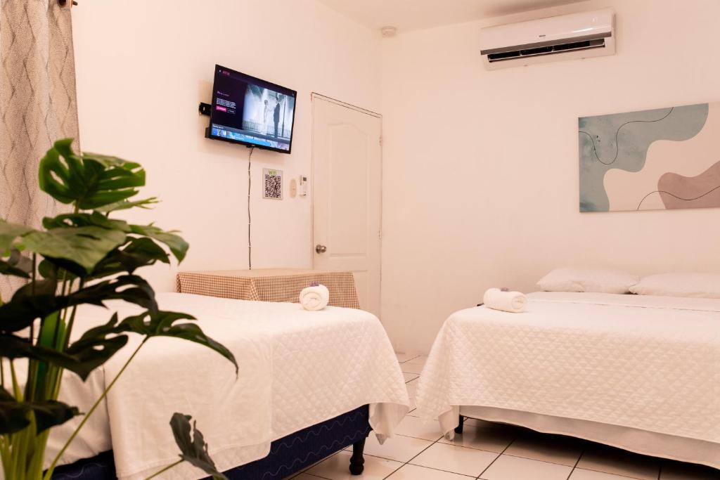 Casa Mama Fanti 전경
