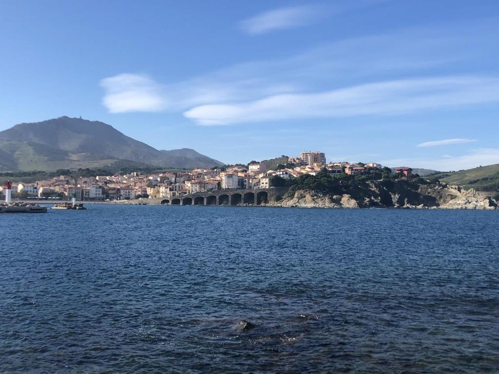 LOCATION BANYULS SUR MER les Terrasses du centre appt 4 à 6 personnes - 1