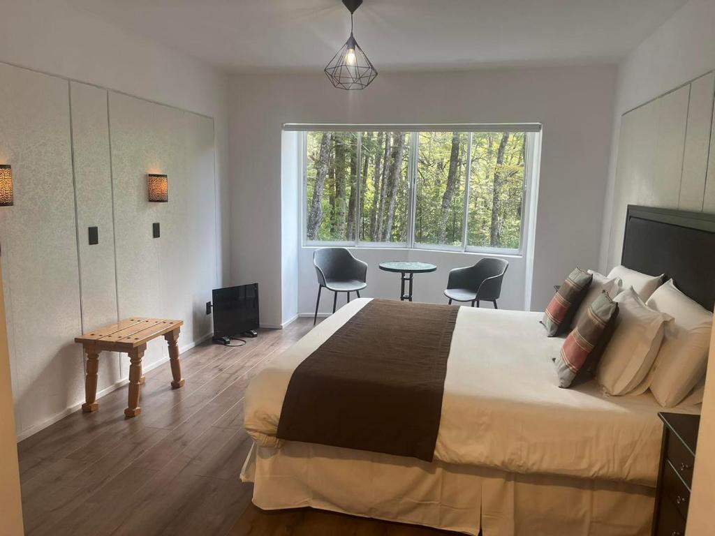 Termas Palguin Pucón, Pucón