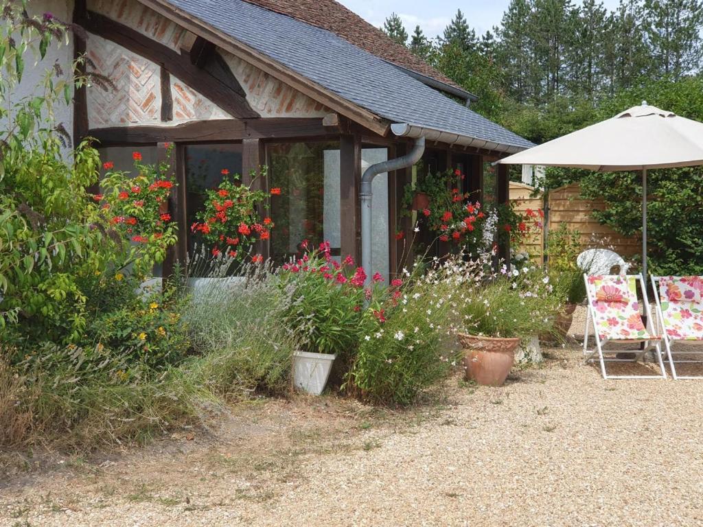 Gîte rustique à Cheverny: nature, tennis, animaux bienvenus, pêche et châteaux de la Loire à proximité - FR-1-491-366, Cheverny