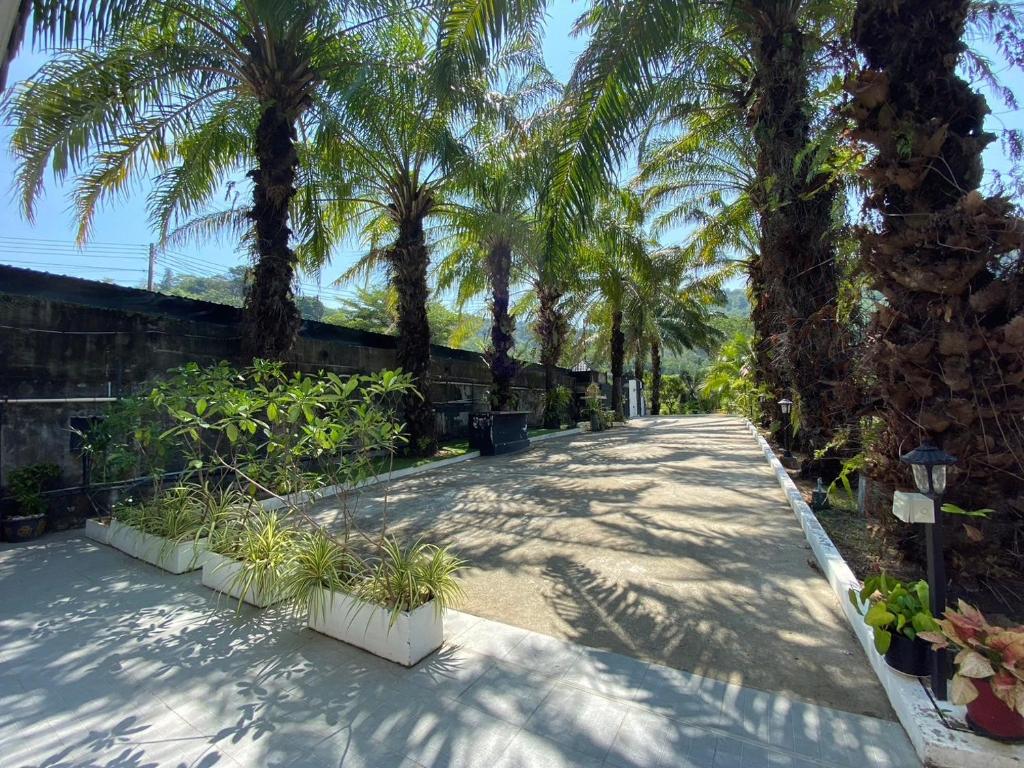 Surrounding environment