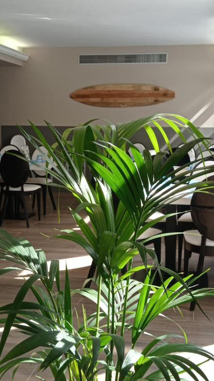 Summer Hotel — Restaurant & bars in Calella, Catalonia