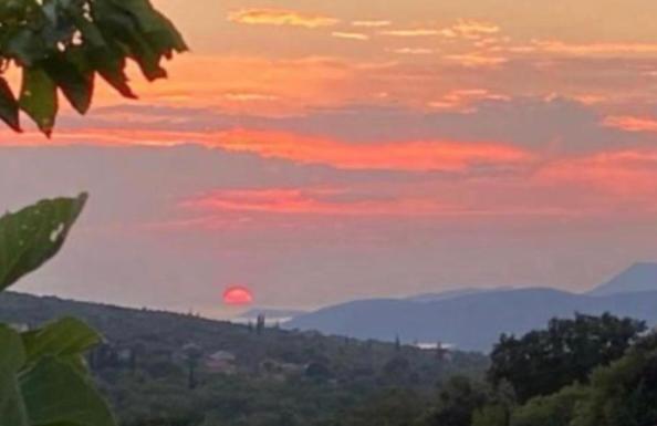 Rustic Home Grbalj, Budva