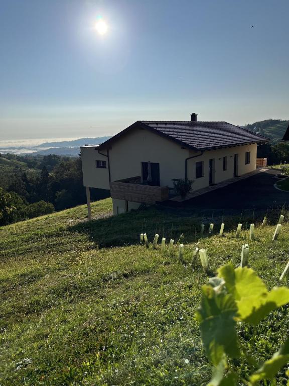 Ferienwohnung Weingut Koller - 2