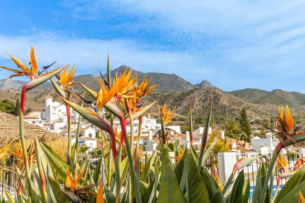 Tetuan 11 Oasis Properties - 5