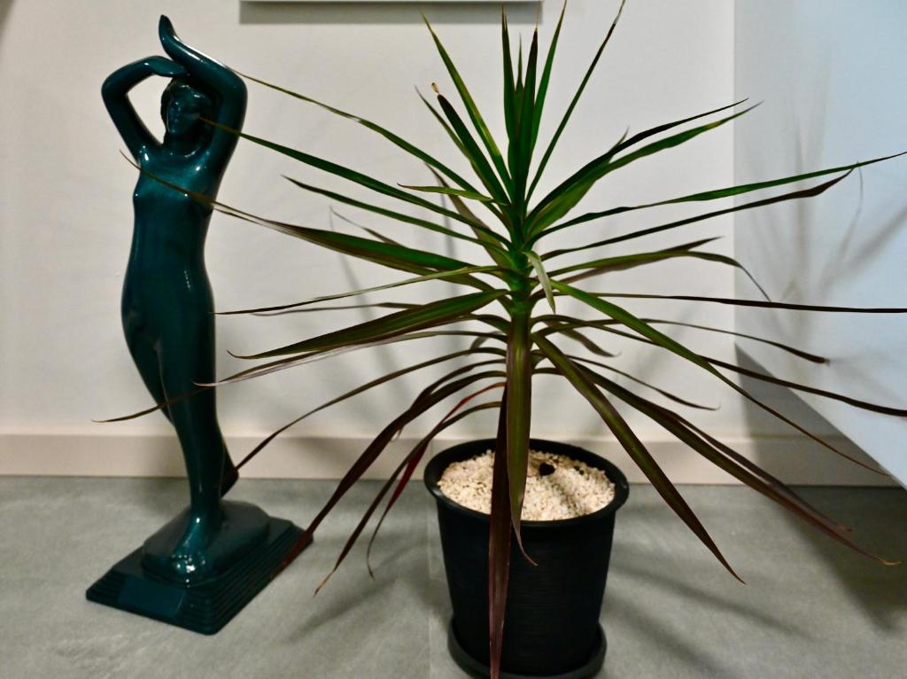 Studio Apartman UNA -self check in,free parking, Karlovac