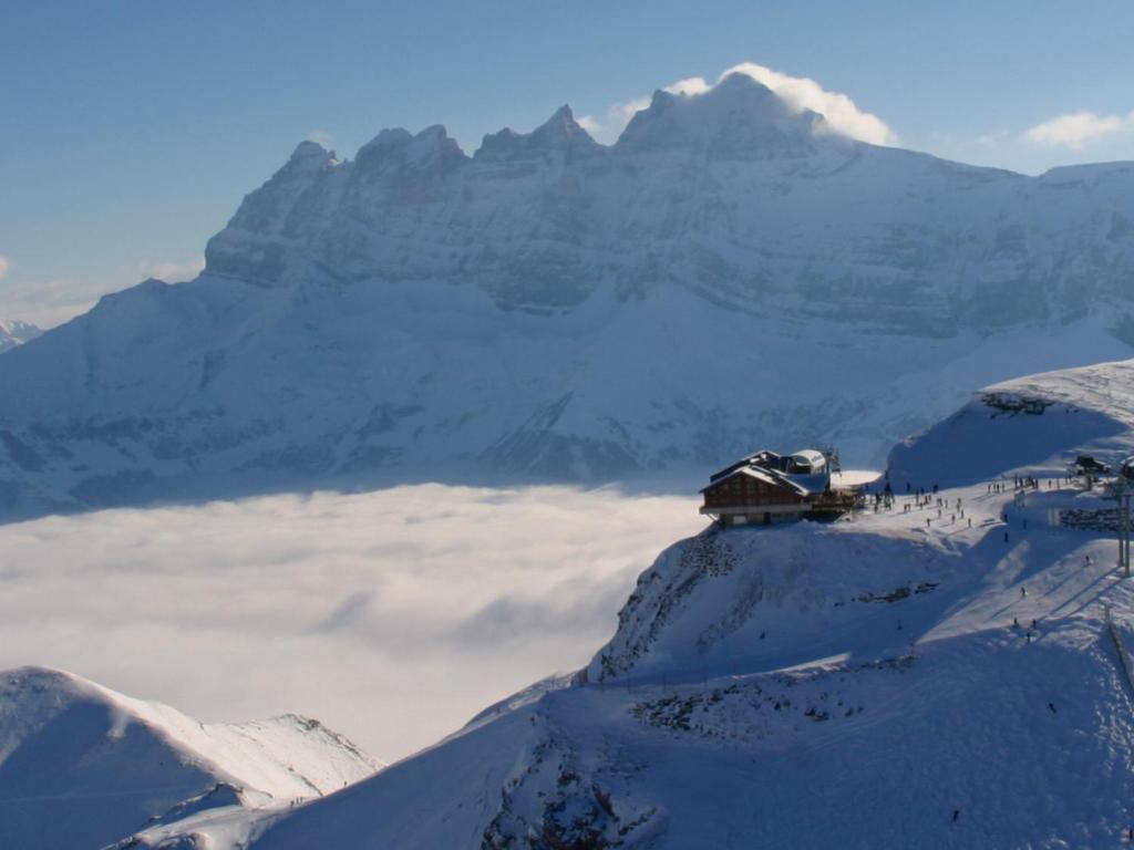 Surrounding environment