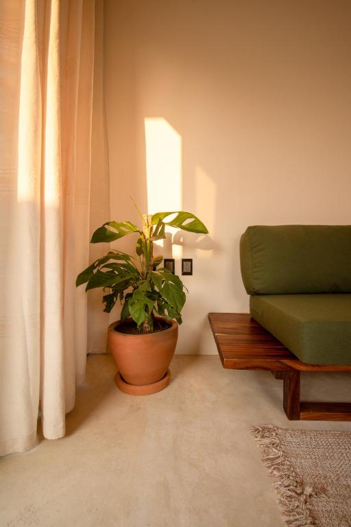 CASA RAFFAELLA Modern apartments with AC Pool Starlink - 2