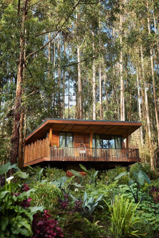 One&Only Gorilla's Nest, Kinigi