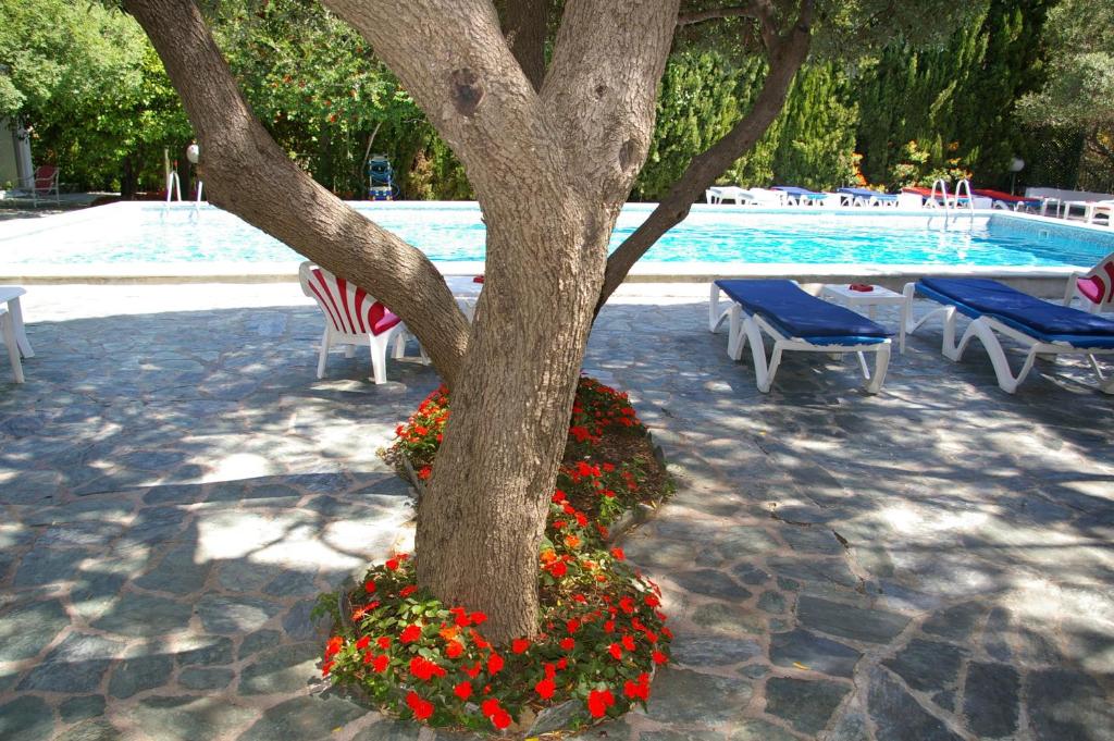 Hotel Pietracap photo