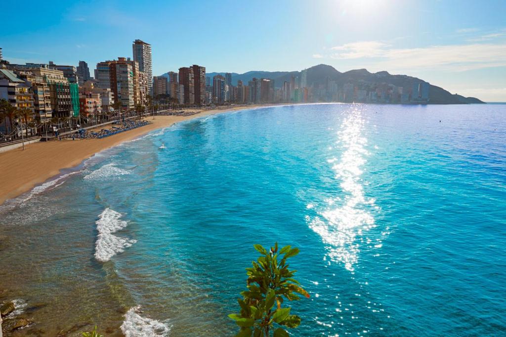 Caballos Lux playa levante - 2