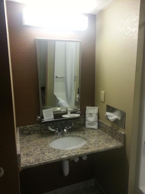 Microtel Inn & Suites by Wyndham Carrollton photo