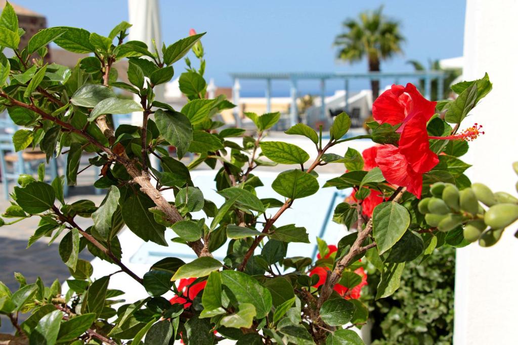Hotel Facilities