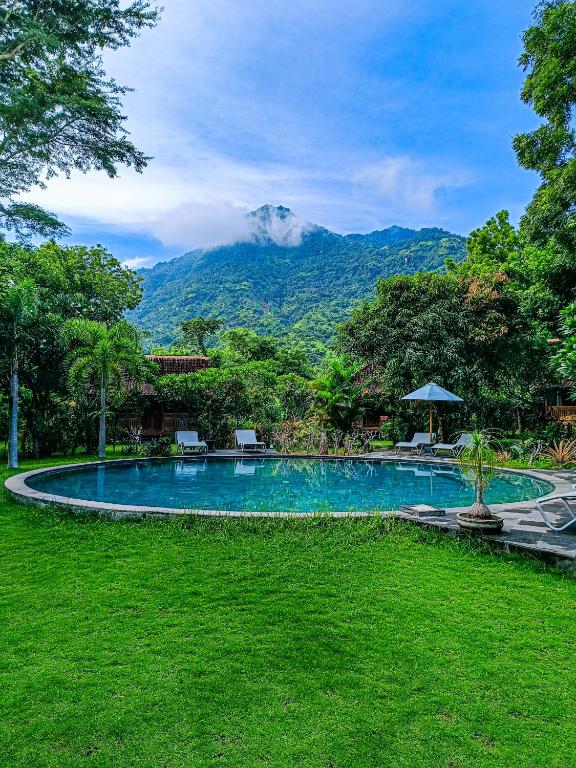 Alaya Ecolodge, Pemuteran