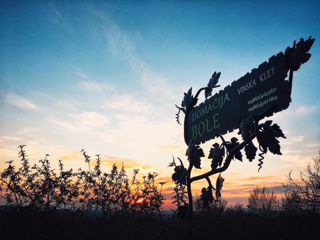 Apartma Domačija Bole, Sežana