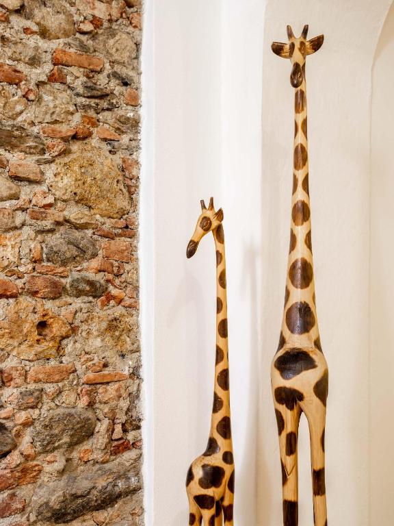 Appartamento Le Giraffe - Pietrasanta Centro - 5