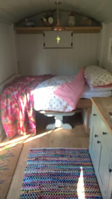Duck Hut, Compton Dundon photo 8