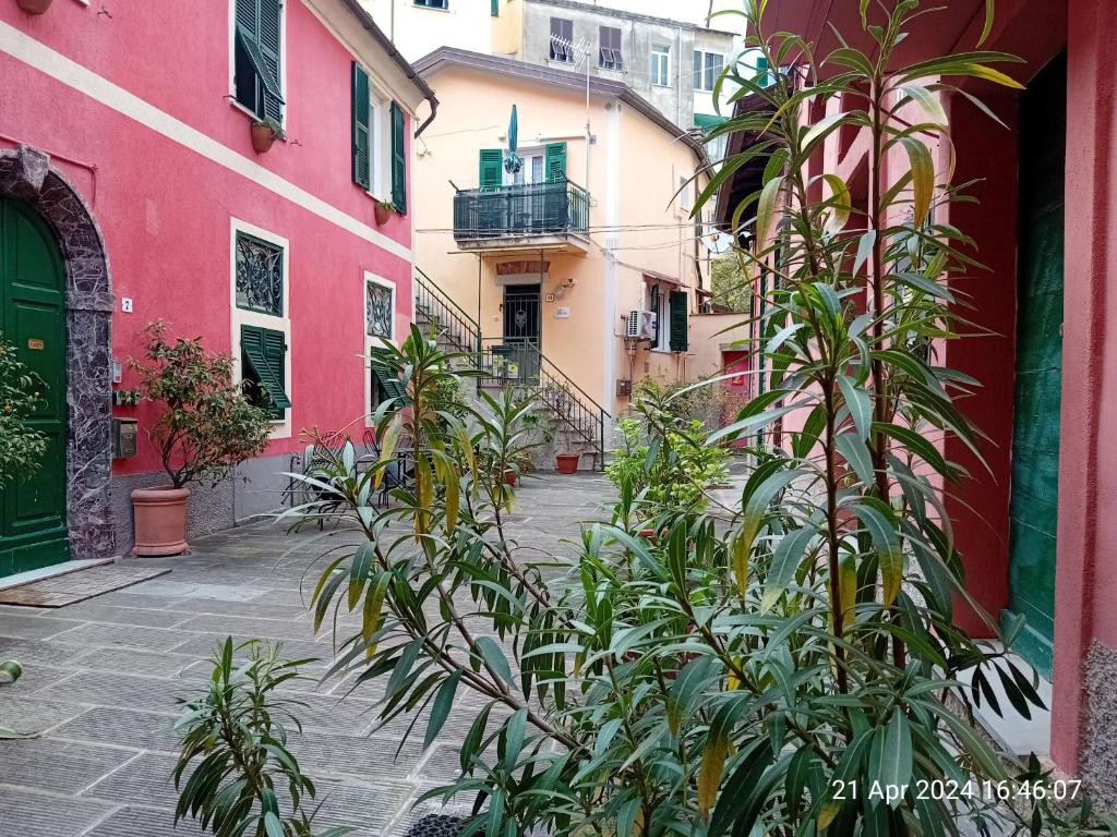 appartamento IL VICOLO la spezia cinque terre - 2