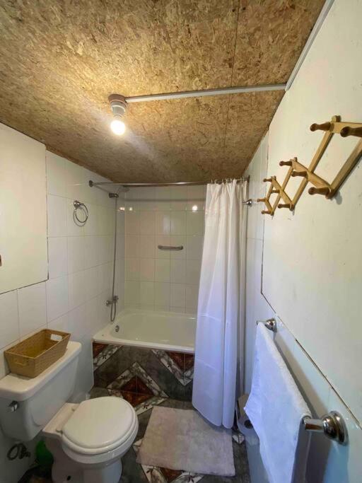 Arriendo casa en NELTUME a minutos de huilo-huilo - 5