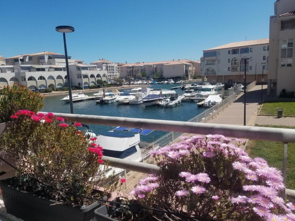 Sète Marina des Quilles, grand T2 climatisé, proche plage, parking privé - 5