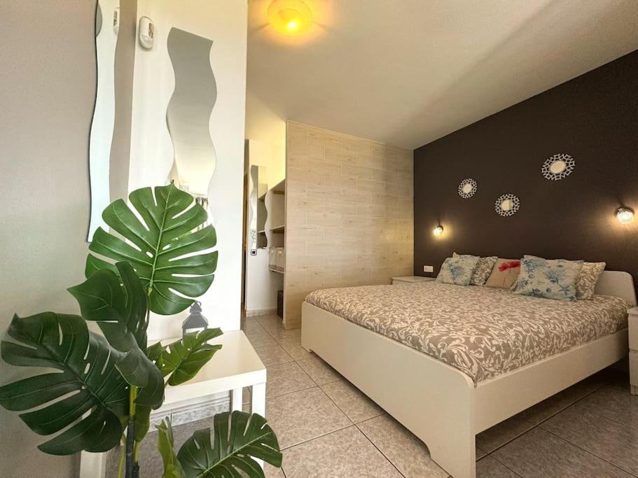 Palm Garden Apartment - 5