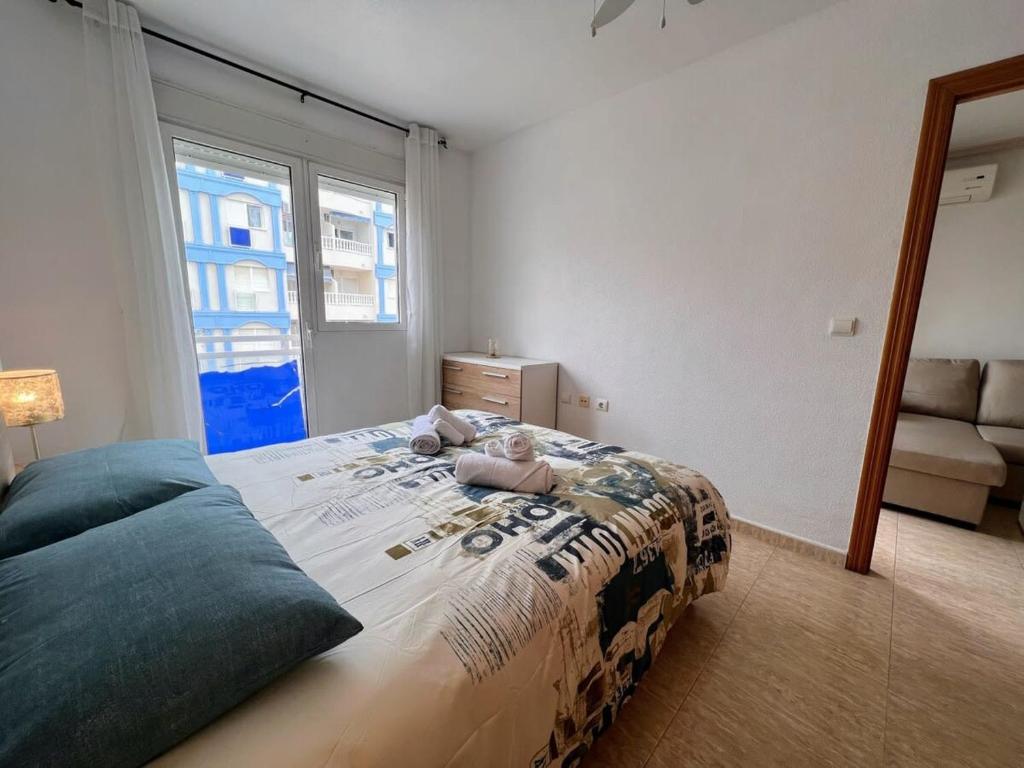 Welcoming seafront apartment Tv15 - 4