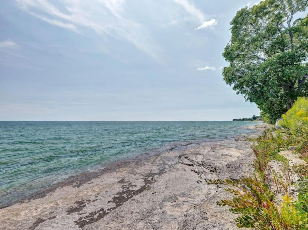 Wind & Waves - Wellington waterfront with Satellite TV & fire pit, Wellington