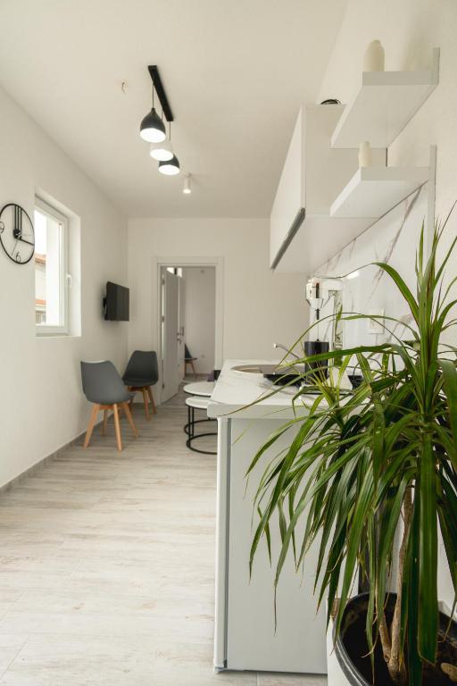 Fox Apartment, Gevgelija