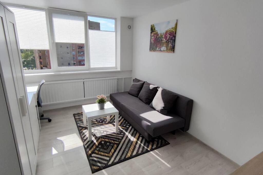 Light and useful stay, Kaunas