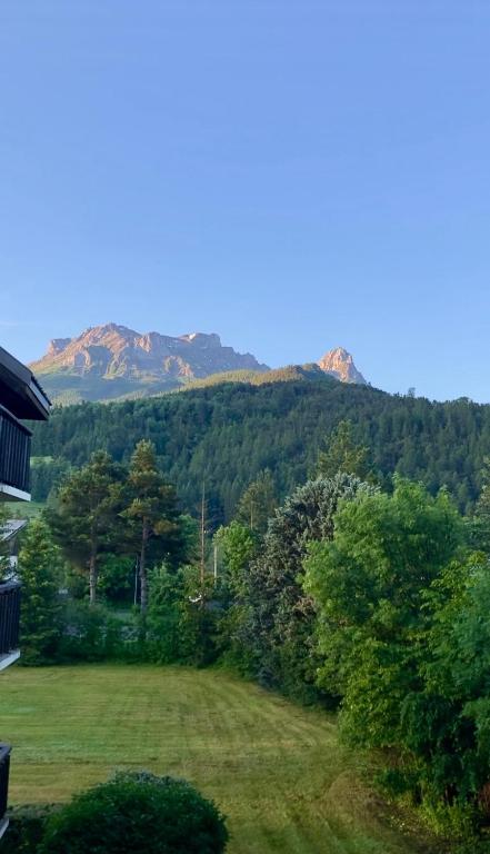 Studio La Case de l’Écureuil, Barcelonnette