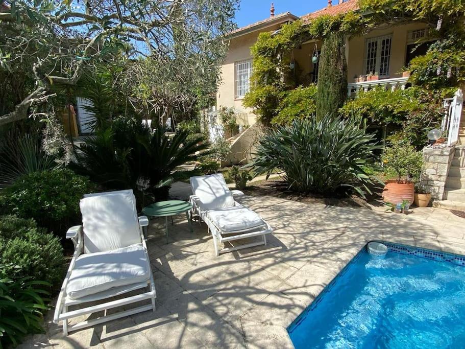 La petite palmeraie - 4