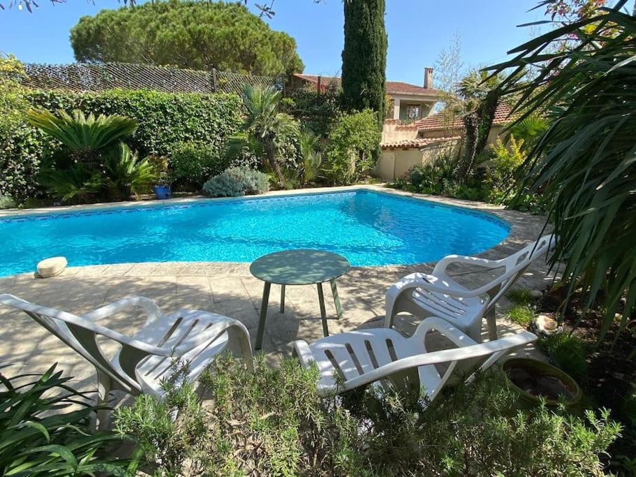 La petite palmeraie - 3