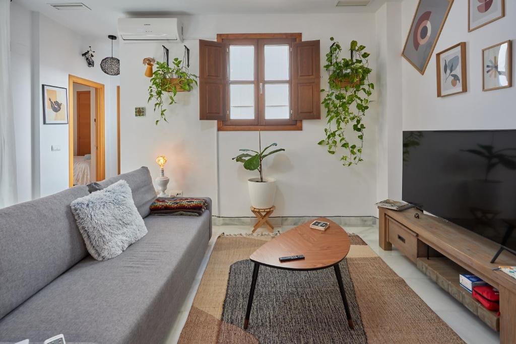 Apartamento Obispo centro Jerez de la Frontera - 3