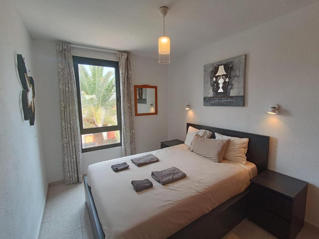 Apartamento SUMMER Complex Amaya Fuerteventura - 2