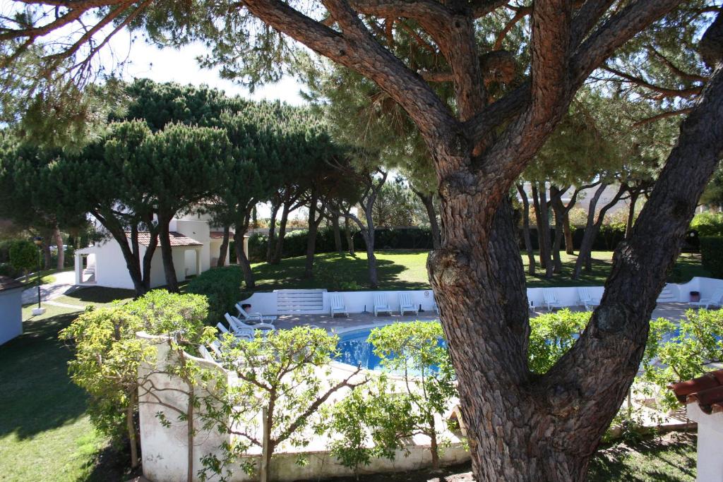 Aldeia Da Falesia — Swimming pool in Albufeira, Faro